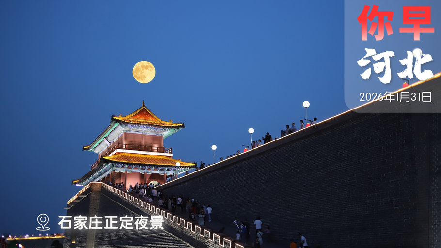 你早，河北｜河北将新设3所高校；抄底黄金？机器人们为何抢着上春晚；特朗普“吃醋”了