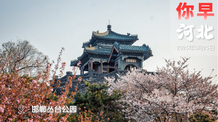 你早，河北｜河北公办高职院校＋1；词元——AI时代新货币；日本不法之徒强闯中使馆威胁杀人；美伊到底谈不谈