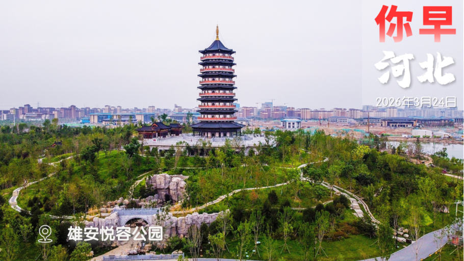 你早，河北｜总书记九年四赴雄安；13年来首次临时调控油价；一键签约石家庄家庭医生；美伊到底谈没谈？