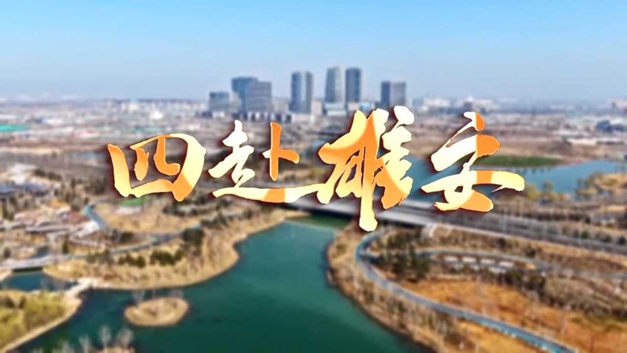 时政专题片丨四赴雄安