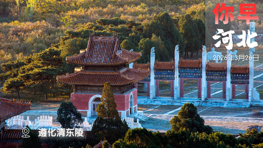 你早，河北｜总书记批评过的那些政绩观；应对心源性猝死全攻略；国产无人机蜂群作战系统震撼亮相；美国假缓和，真备战？