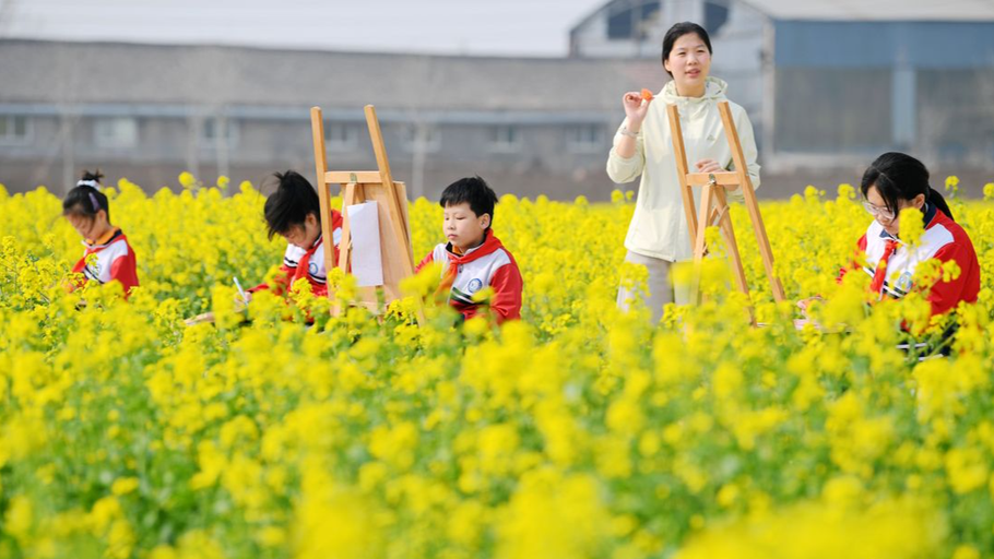 邯郸广平：自然课堂“搬进”油菜花田