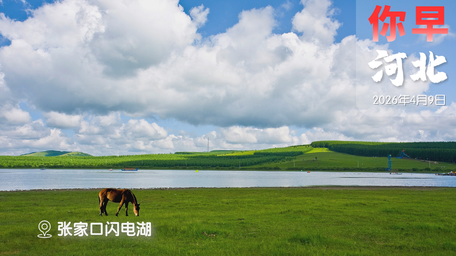 你早，河北｜京津冀消协因何约谈“洲际酒店”；猪肉价格还得跌一年？给“全红婵们”撑腰！美伊停火只是“中场休息”？