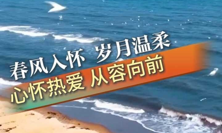 早安丨春风入怀 岁月温柔