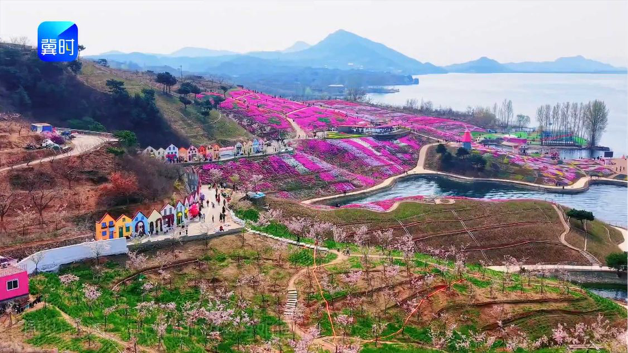 唐山迁西：山水相连花海如画