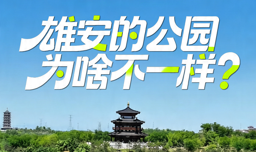 对话 在雄安丨雄安的公园为啥不一样？这位90后建设者告诉你答案