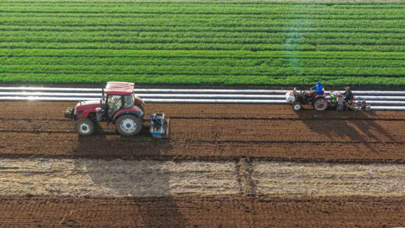 唐山遵化：谷雨时节农事忙