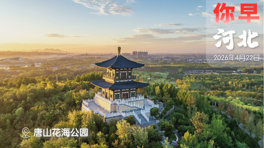 你早，河北｜8点后，美伊接着打？河北油价降多少；“双20”护送英烈回家；苹果迎回“乔布斯”