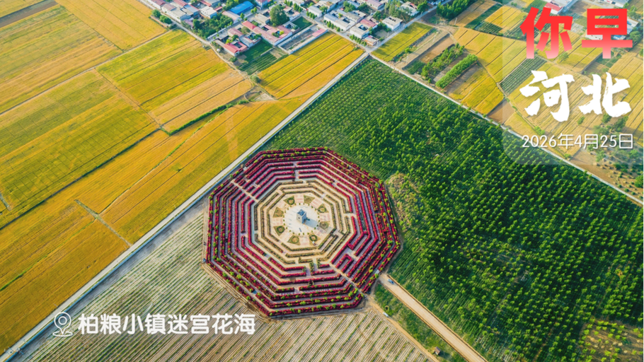 你早，河北｜石家庄演唱会的“宠粉”模式；大熊猫为何此时赴美；DeepSeek时刻又来了；马克龙卸任后不想搞政治了