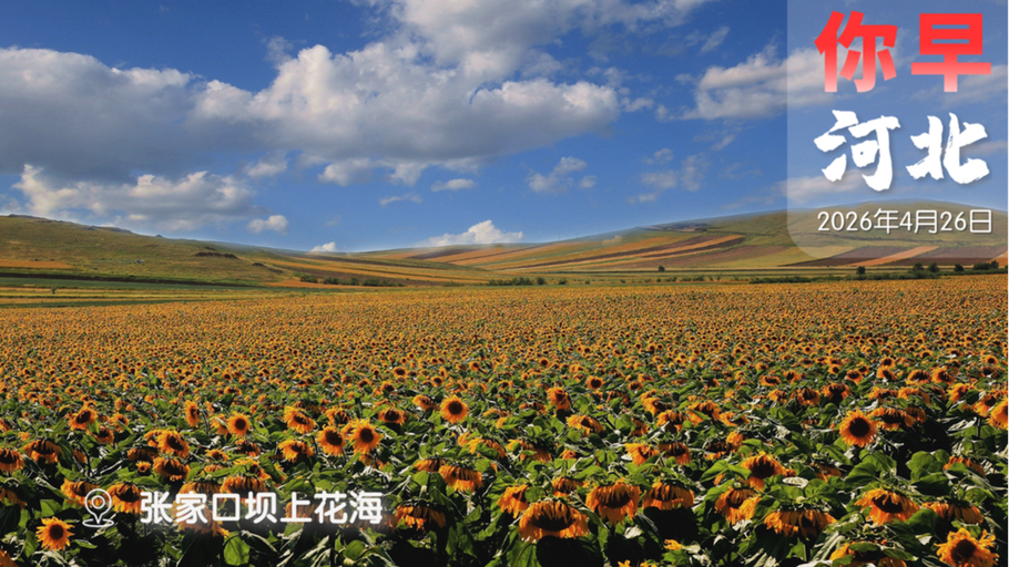 你早，河北｜石家庄“文旅大餐”即将上线；花呗、白条、月付要大调整了；大模型“乌龙”事件的警示；马六甲海峡也想收费？