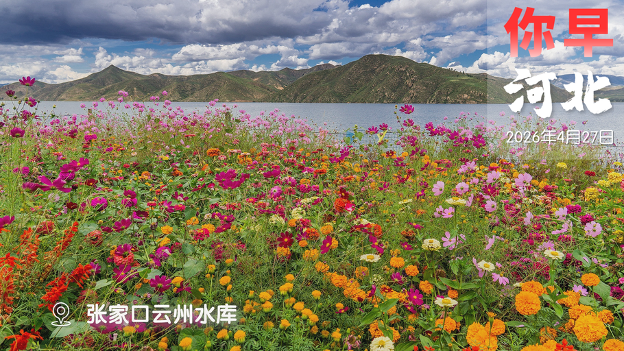 你早，河北｜京津名医在河北怎么收费；警惕“霸总”盯上老年人；日本年轻人不想当“炮灰”；特朗普为什么总被暗杀