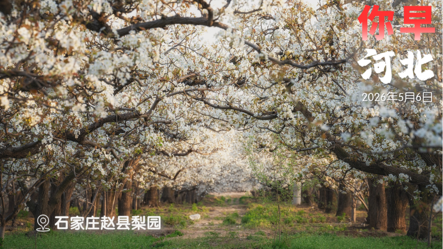 你早，河北｜石家庄年底再通地铁；邯郸上榜全国TOP10；邮轮上的致死病毒什么来头；下一代核心技术专利申请，中国首超日本