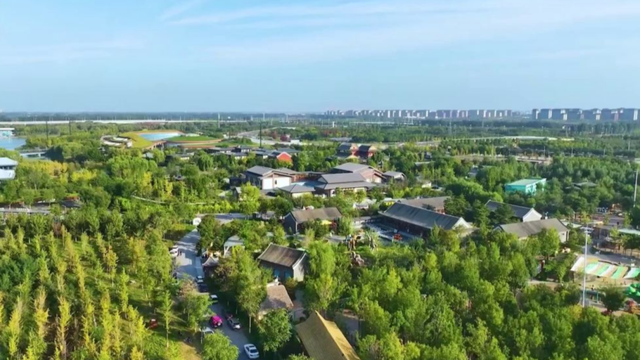 对话 在雄安丨从一张白纸到AAAA级旅游景区 湖北小伙儿扎根郊野公园：自豪感是无与伦比的！