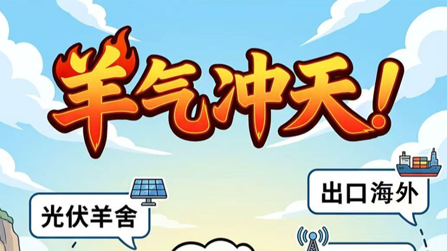 漫说丨唐县肉羊的硬核逆袭记
