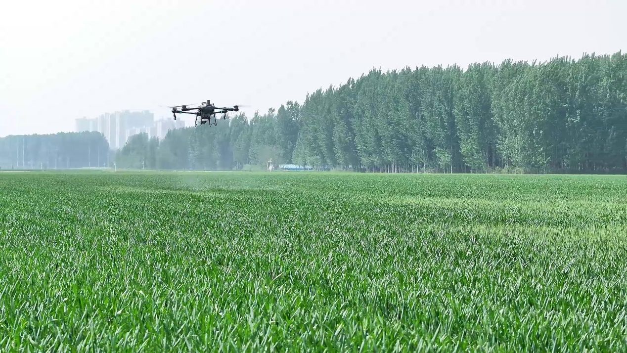 广西智慧农业迈向“五化”升级新征程